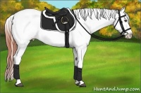 Horse Color:Bay Roan Dun Appaloosa 
