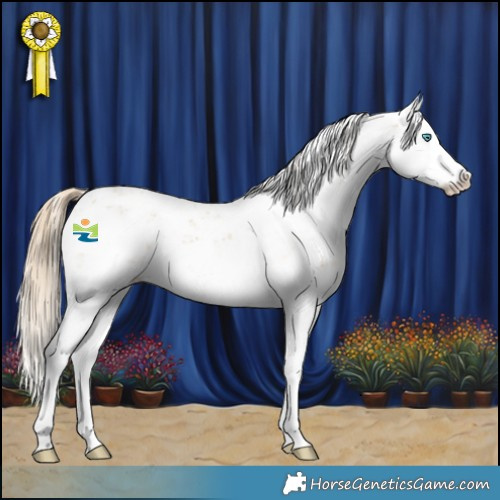 Horse Color:Chocolate Palomino Dun Sabino Splash 