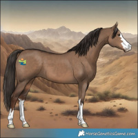 Horse Color:Liver Red Dun 