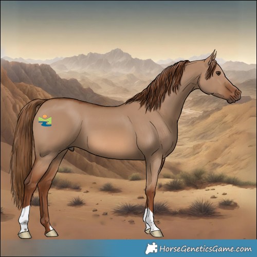 Horse Color:Red Dun 