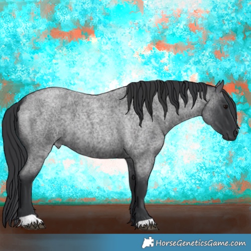 Horse Color:Blue Roan 
