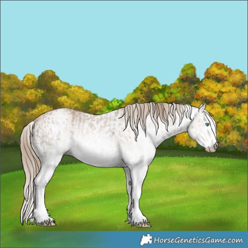 Horse Color:Gray White Spotted Smoky Creme  and Gray White Spotted Smoky Creme 