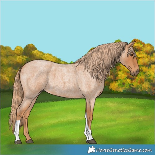 Horse Color:Red Roan Tobiano 