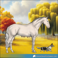 Horse Color:Cremello 