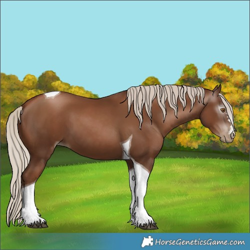 Horse Color:Gray Silver Black Pearl Tobiano