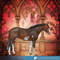 Horse Color:White Spotted Bay Frame 
