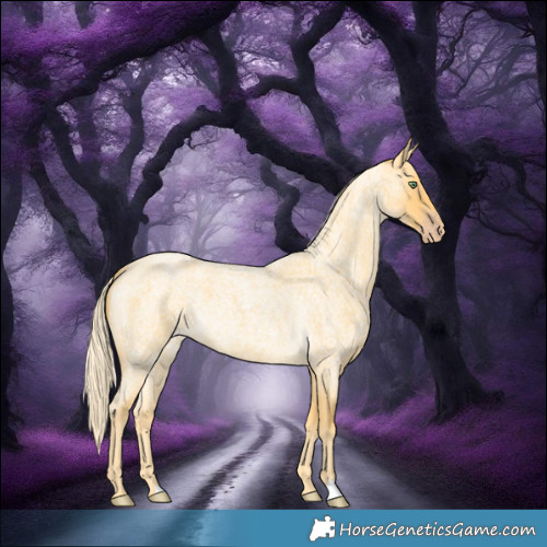 Horse Color:Gold Cream Champagne Roan 