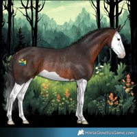 Horse Color:Brown Splash Rabicano 