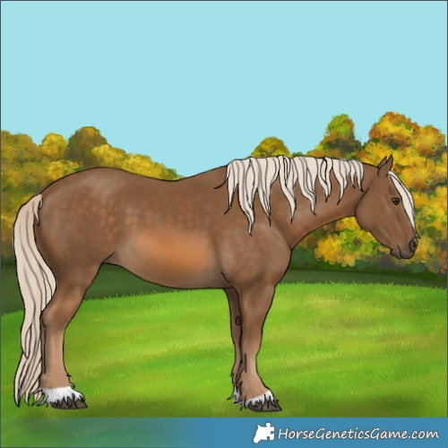 Horse Color:Chocolate Palomino 
