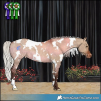 Horse Color:White Spotted Silver Brown Dun Varnish 