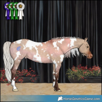 Horse Color:White Spotted Silver Brown Dun Varnish 