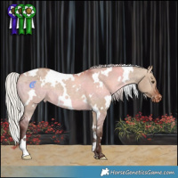 Horse Color:White Spotted Silver Brown Dun Appaloosa 