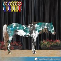 Horse Color:White Spotted Liver Chestnut Sabino Varnish 