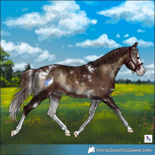 Horse Color:White Spotted Chocolate Bay Ice Onyx Splash 