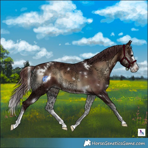 Horse Color:White Spotted Chocolate Bay Ice Onyx Splash 