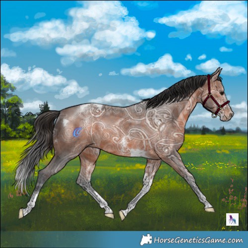 Horse Color:Brown Ice Sabino Tobiano 