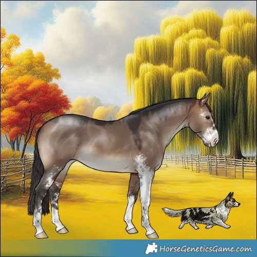 Horse Color:Brown Dun Sabino