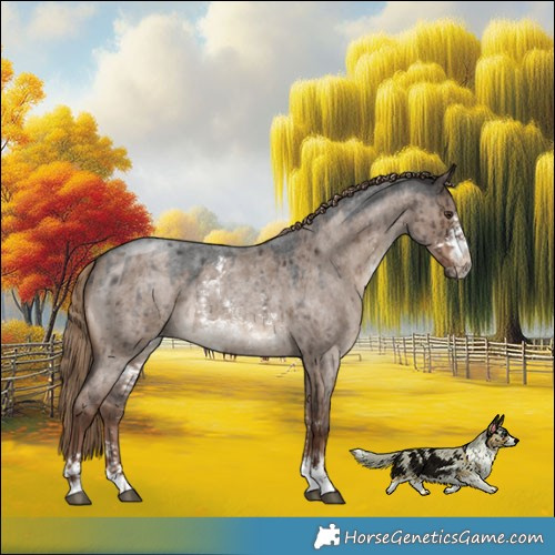 Horse Color:Liver Red Dun Roan Sabino Rabicano Brindle