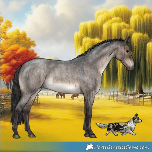 Horse Color:Brown Roan Dun Brindle