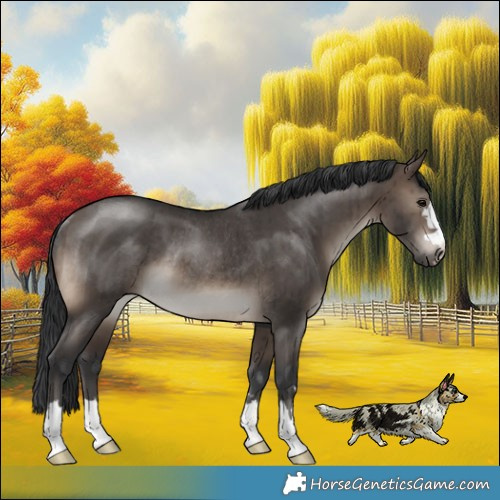 Horse Color:Brown Dun Rabicano Brindle 