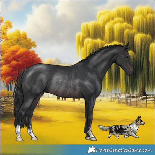 Horse Color:Brown Rabicano 
