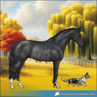 Horse Color:Brown Rabicano