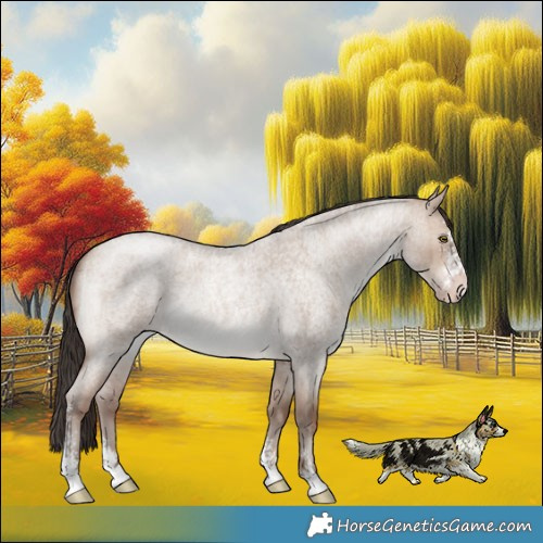 Horse Color:Sable Champagne Roan Dun Sabino Rabicano Brindle 