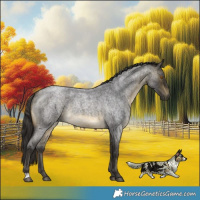 Horse Color:Buckskin Roan Mushroom