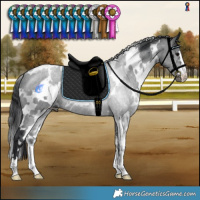 Horse Color:White Spotted Black 