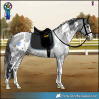 Horse Color:White Spotted Black 
