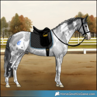 Horse Color:White Spotted Black 