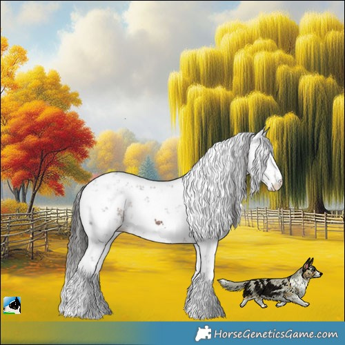 Horse Color:Liver Chestnut Sabino Rabicano 