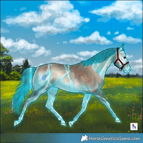 Horse Color:Thunderstruck Sable Champagne Onyx Appaloosa Rabicano 