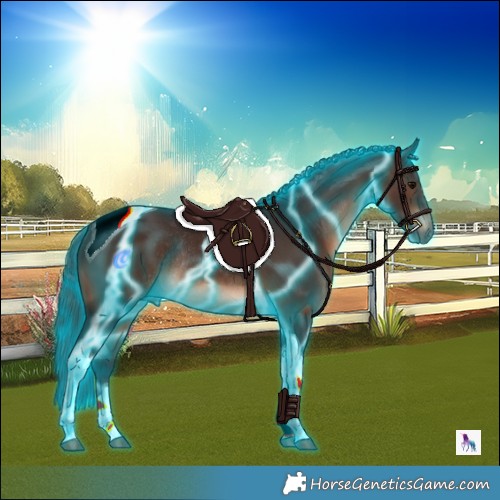 Horse Color:Thunderstruck Brown Tobiano Rabicano 