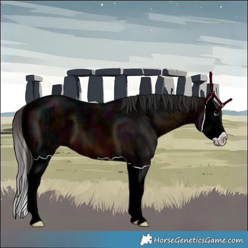 Horse Color:Midnight Bay Ice Splash 