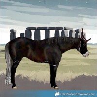 Horse Color:Midnight Bay Ice Splash 