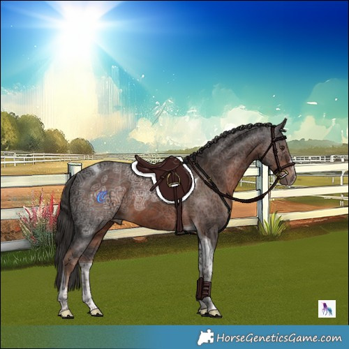 Horse Color:Liver Chestnut Ice Tobiano Rabicano 