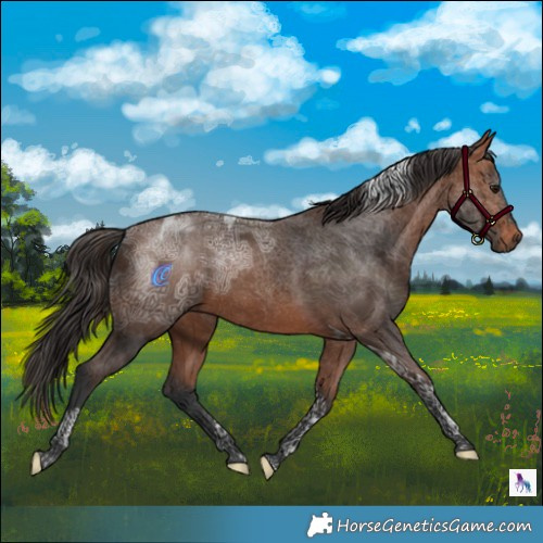 Horse Color:Bay Ice Tobiano Rabicano 