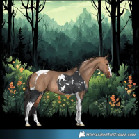 Horse Color:White Spotted Black Splash Rabicano and Bay Dun Tobiano Rabicano