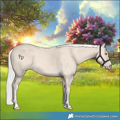 Horse Color:Cremello Tobiano 