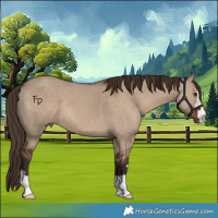 Horse Color:Liver Red Dun 
