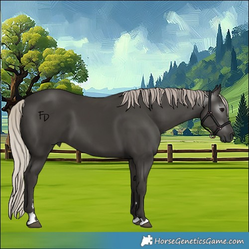 Horse Color:Gray Silver Black 