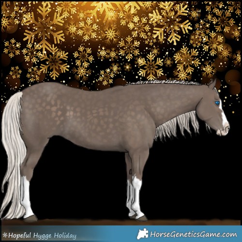 Horse Color:Silver Black Splash 