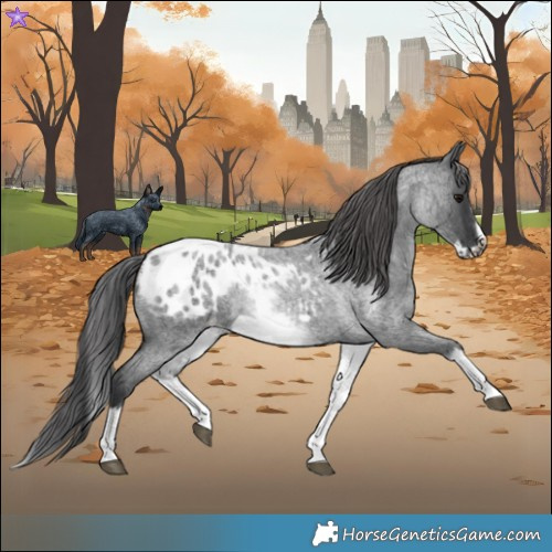 Horse Color:White Spotted Blue Roan Splash Frame Blanket
