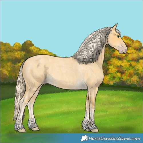 Horse Color:Gold Cream Champagne Roan