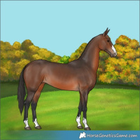 Horse Color:Brown 