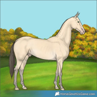 Horse Color:Amber Cream Champagne