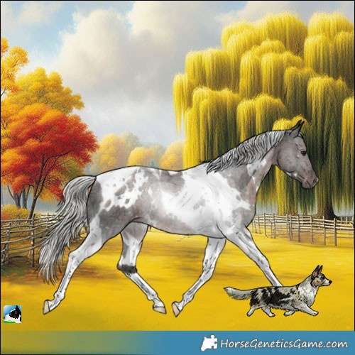 Horse Color:White Spotted Silver Brown Ice Tobiano Rabicano
