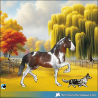 Horse Color:Brown Sabino Splash Tobiano Rabicano 