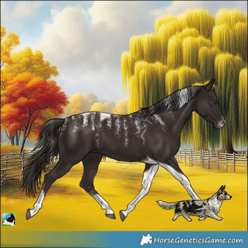 Horse Color:Powder White Liver Chestnut Tobiano